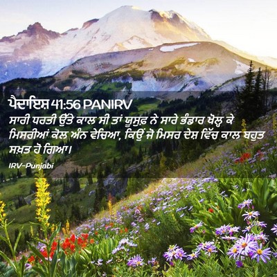 Picture 02 - ਪੈਦਾਇਸ਼ 41:56 PANIRV - ਸਾਰੀ ਧਰਤੀ ਉੱਤੇ ਕਾਲ - Bible Verse Picture