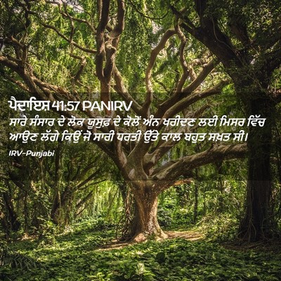 Picture 02 - ਪੈਦਾਇਸ਼ 41:57 PANIRV - ਸਾਰੇ ਸੰਸਾਰ ਦੇ ਲੋਕ - Bible Verse Picture