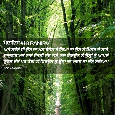 Picture 02 - ਪੈਦਾਇਸ਼ 41:8 PANIRV - ਅਤੇ ਸਵੇਰੇ ਹੀ ਉਸ ਦਾ - Bible Verse Picture