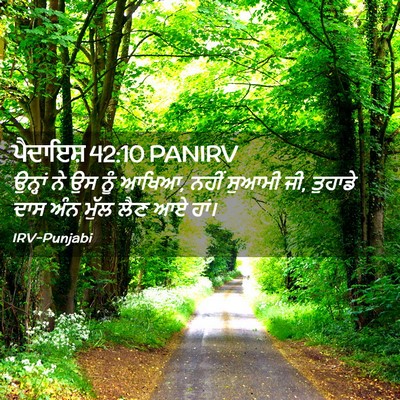 Picture 02 - ਪੈਦਾਇਸ਼ 42:10 PANIRV - ਉਨ੍ਹਾਂ ਨੇ ਉਸ ਨੂੰ - Bible Verse Picture
