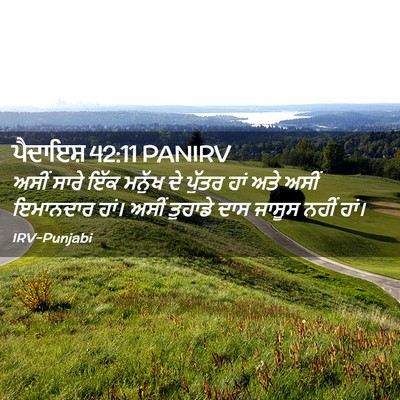 Picture 02 - ਪੈਦਾਇਸ਼ 42:11 PANIRV - ਅਸੀਂ ਸਾਰੇ ਇੱਕ - Bible Verse Picture