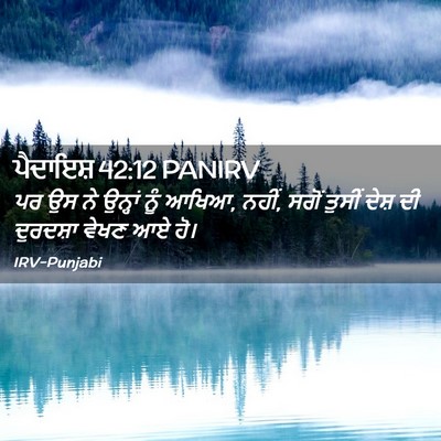 Picture 02 - ਪੈਦਾਇਸ਼ 42:12 PANIRV - ਪਰ ਉਸ ਨੇ ਉਨ੍ਹਾਂ ਨੂੰ - Bible Verse Picture