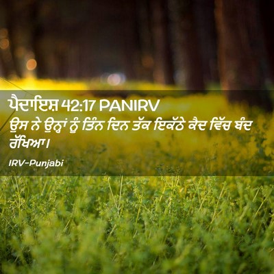 Picture 02 - ਪੈਦਾਇਸ਼ 42:17 PANIRV - ਉਸ ਨੇ ਉਨ੍ਹਾਂ ਨੂੰ - Bible Verse Picture