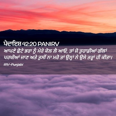 Picture 02 - ਪੈਦਾਇਸ਼ 42:20 PANIRV - ਆਪਣੇ ਛੋਟੇ ਭਰਾ ਨੂੰ - Bible Verse Picture