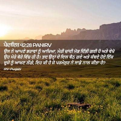Picture 02 - ਪੈਦਾਇਸ਼ 42:28 PANIRV - ਉਸ ਨੇ ਆਪਣੇ ਭਰਾਵਾਂ - Bible Verse Picture