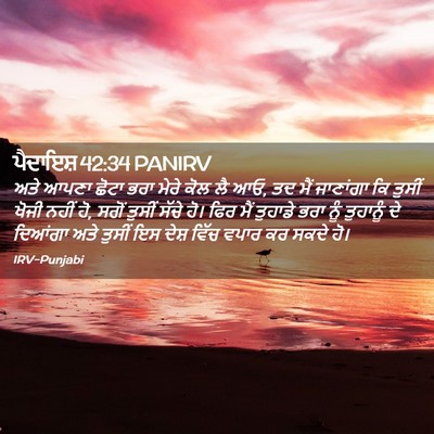 Picture 02 - ਪੈਦਾਇਸ਼ 42:34 PANIRV - ਅਤੇ ਆਪਣਾ ਛੋਟਾ ਭਰਾ - Bible Verse Picture