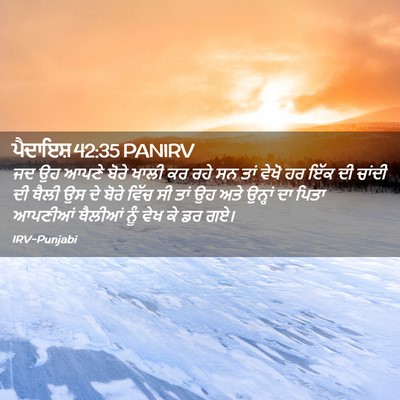 Picture 02 - ਪੈਦਾਇਸ਼ 42:35 PANIRV - ਜਦ ਉਹ ਆਪਣੇ ਬੋਰੇ - Bible Verse Picture