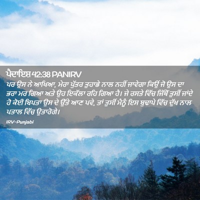 Picture 02 - ਪੈਦਾਇਸ਼ 42:38 PANIRV - ਪਰ ਉਸ ਨੇ ਆਖਿਆ, ਮੇਰਾ - Bible Verse Picture