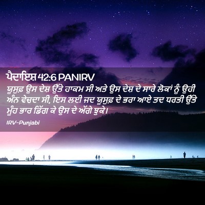 Picture 02 - ਪੈਦਾਇਸ਼ 42:6 PANIRV - ਯੂਸੁਫ਼ ਉਸ ਦੇਸ਼ - Bible Verse Picture