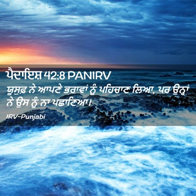 Picture 02 - ਪੈਦਾਇਸ਼ 42:8 PANIRV - ਯੂਸੁਫ਼ ਨੇ ਆਪਣੇ - Bible Verse Picture