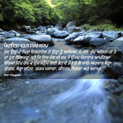 Picture 02 - ਪੈਦਾਇਸ਼ 43:11 PANIRV - ਤਦ ਉਨ੍ਹਾਂ ਦੇ ਪਿਤਾ - Bible Verse Picture