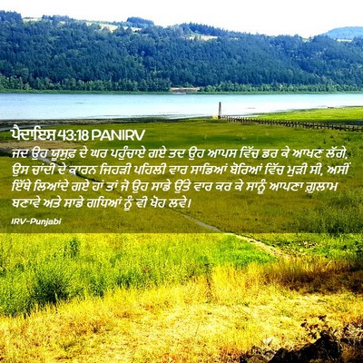Picture 02 - ਪੈਦਾਇਸ਼ 43:18 PANIRV - ਜਦ ਉਹ ਯੂਸੁਫ਼ ਦੇ ਘਰ - Bible Verse Picture