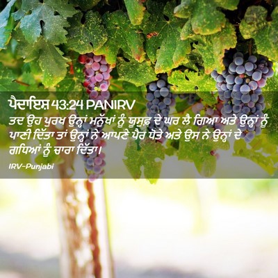 Picture 02 - ਪੈਦਾਇਸ਼ 43:24 PANIRV - ਤਦ ਉਹ ਪੁਰਖ ਉਨ੍ਹਾਂ - Bible Verse Picture