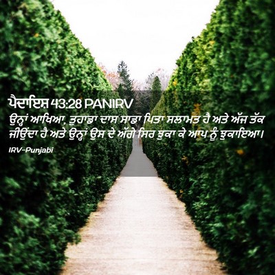 Picture 02 - ਪੈਦਾਇਸ਼ 43:28 PANIRV - ਉਨ੍ਹਾਂ ਆਖਿਆ, - Bible Verse Picture