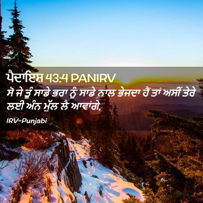 Picture 02 - ਪੈਦਾਇਸ਼ 43:4 PANIRV - ਸੋ ਜੇ ਤੂੰ ਸਾਡੇ ਭਰਾ - Bible Verse Picture