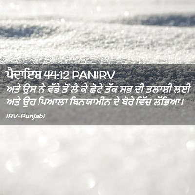 Picture 02 - ਪੈਦਾਇਸ਼ 44:12 PANIRV - ਅਤੇ ਉਸ ਨੇ ਵੱਡੇ ਤੋਂ - Bible Verse Picture