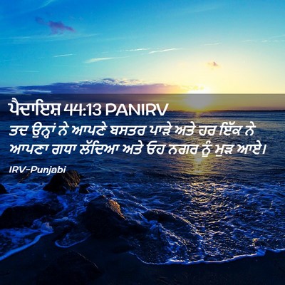 Picture 02 - ਪੈਦਾਇਸ਼ 44:13 PANIRV - ਤਦ ਉਨ੍ਹਾਂ ਨੇ ਆਪਣੇ - Bible Verse Picture