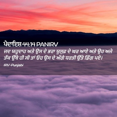 Picture 02 - ਪੈਦਾਇਸ਼ 44:14 PANIRV - ਜਦ ਯਹੂਦਾਹ ਅਤੇ ਉਸ ਦੇ - Bible Verse Picture