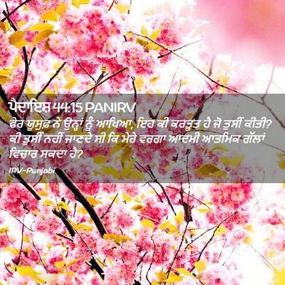 Picture 02 - ਪੈਦਾਇਸ਼ 44:15 PANIRV - ਫੇਰ ਯੂਸੁਫ਼ ਨੇ - Bible Verse Picture