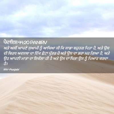Picture 02 - ਪੈਦਾਇਸ਼ 44:20 PANIRV - ਅਤੇ ਅਸੀਂ ਆਪਣੇ - Bible Verse Picture