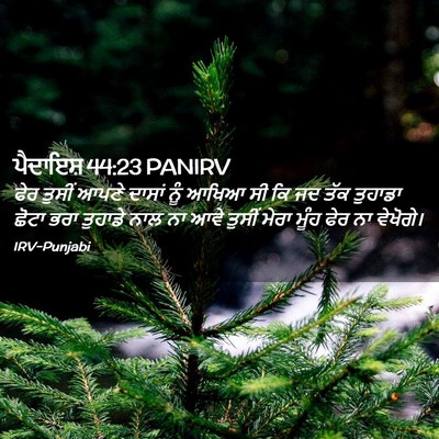 Picture 02 - ਪੈਦਾਇਸ਼ 44:23 PANIRV - ਫੇਰ ਤੁਸੀਂ ਆਪਣੇ - Bible Verse Picture