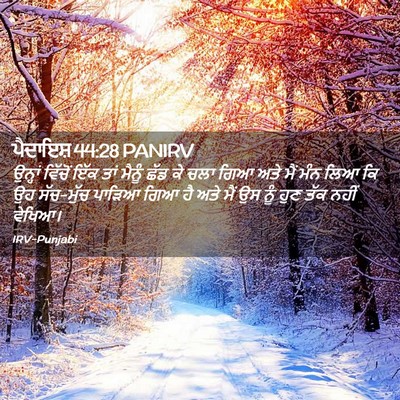 Picture 02 - ਪੈਦਾਇਸ਼ 44:28 PANIRV - ਉਨ੍ਹਾਂ ਵਿੱਚੋਂ ਇੱਕ - Bible Verse Picture
