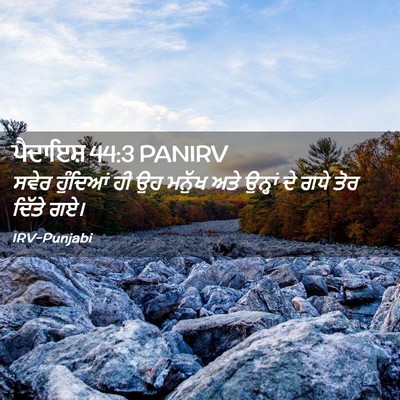 Picture 02 - ਪੈਦਾਇਸ਼ 44:3 PANIRV - ਸਵੇਰ ਹੁੰਦਿਆਂ ਹੀ ਉਹ - Bible Verse Picture