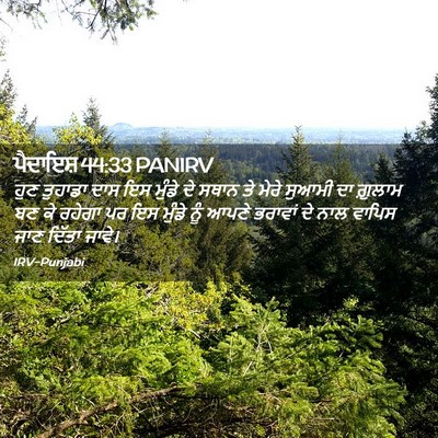 Picture 02 - ਪੈਦਾਇਸ਼ 44:33 PANIRV - ਹੁਣ ਤੁਹਾਡਾ ਦਾਸ ਇਸ - Bible Verse Picture