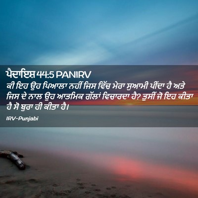 Picture 02 - ਪੈਦਾਇਸ਼ 44:5 PANIRV - ਕੀ ਇਹ ਉਹ ਪਿਆਲਾ ਨਹੀਂ - Bible Verse Picture