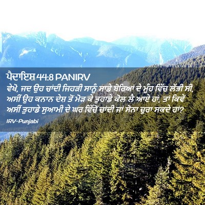 Picture 02 - ਪੈਦਾਇਸ਼ 44:8 PANIRV - ਵੇਖੋ, ਜਦ ਉਹ ਚਾਂਦੀ - Bible Verse Picture