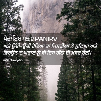 Picture 02 - ਪੈਦਾਇਸ਼ 45:2 PANIRV - ਅਤੇ ਉੱਚੀ-ਉੱਚੀ ਰੋਇਆ - Bible Verse Picture