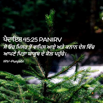 Picture 02 - ਪੈਦਾਇਸ਼ 45:25 PANIRV - ਸੋ ਓਹ ਮਿਸਰ ਤੋਂ - Bible Verse Picture