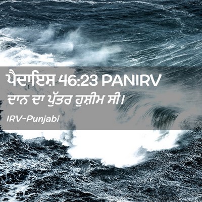 Picture 02 - ਪੈਦਾਇਸ਼ 46:23 PANIRV - ਦਾਨ ਦਾ ਪੁੱਤਰ - Bible Verse Picture