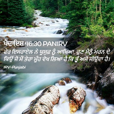 Picture 02 - ਪੈਦਾਇਸ਼ 46:30 PANIRV - ਫੇਰ ਇਸਰਾਏਲ ਨੇ - Bible Verse Picture