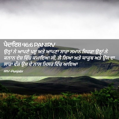 Picture 02 - ਪੈਦਾਇਸ਼ 46:6 PANIRV - ਉਨ੍ਹਾਂ ਨੇ ਆਪਣੇ - Bible Verse Picture