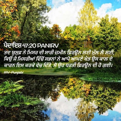 Picture 02 - ਪੈਦਾਇਸ਼ 47:20 PANIRV - ਤਦ ਯੂਸੁਫ਼ ਨੇ ਮਿਸਰ - Bible Verse Picture