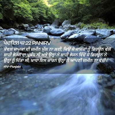 Picture 02 - ਪੈਦਾਇਸ਼ 47:22 PANIRV - ਕੇਵਲ ਜਾਜਕਾਂ ਦੀ - Bible Verse Picture
