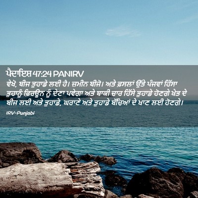 Picture 02 - ਪੈਦਾਇਸ਼ 47:24 PANIRV - ਵੇਖੋ, ਬੀਜ ਤੁਹਾਡੇ ਲਈ - Bible Verse Picture