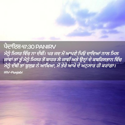 Picture 02 - ਪੈਦਾਇਸ਼ 47:30 PANIRV - ਮੈਨੂੰ ਮਿਸਰ ਵਿੱਚ ਨਾ - Bible Verse Picture