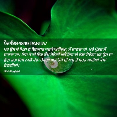 Picture 02 - ਪੈਦਾਇਸ਼ 48:19 PANIRV - ਪਰ ਉਸ ਦੇ ਪਿਤਾ ਨੇ - Bible Verse Picture