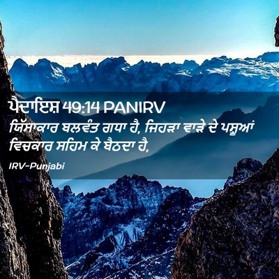 Picture 02 - ਪੈਦਾਇਸ਼ 49:14 PANIRV - ਯਿੱਸਾਕਾਰ ਬਲਵੰਤ - Bible Verse Picture