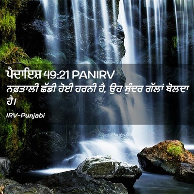 Picture 02 - ਪੈਦਾਇਸ਼ 49:21 PANIRV - ਨਫ਼ਤਾਲੀ ਛੱਡੀ ਹੋਈ - Bible Verse Picture