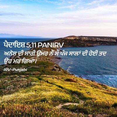 Picture 02 - ਪੈਦਾਇਸ਼ 5:11 PANIRV - ਅਨੋਸ਼ ਦੀ ਸਾਰੀ ਉਮਰ - Bible Verse Picture