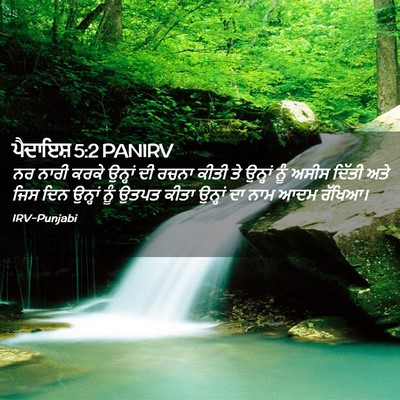 Picture 02 - ਪੈਦਾਇਸ਼ 5:2 PANIRV - ਨਰ ਨਾਰੀ ਕਰਕੇ - Bible Verse Picture