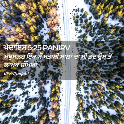 Picture 02 - ਪੈਦਾਇਸ਼ 5:25 PANIRV - ਮਥੂਸਲਹ ਇੱਕ ਸੌ - Bible Verse Picture