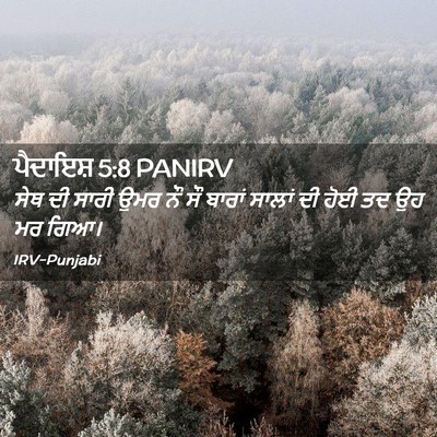 Picture 02 - ਪੈਦਾਇਸ਼ 5:8 PANIRV - ਸੇਥ ਦੀ ਸਾਰੀ ਉਮਰ ਨੌ - Bible Verse Picture