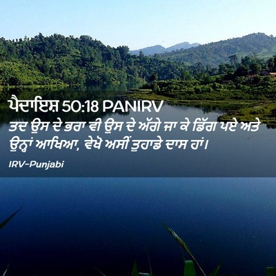 Picture 02 - ਪੈਦਾਇਸ਼ 50:18 PANIRV - ਤਦ ਉਸ ਦੇ ਭਰਾ ਵੀ ਉਸ - Bible Verse Picture