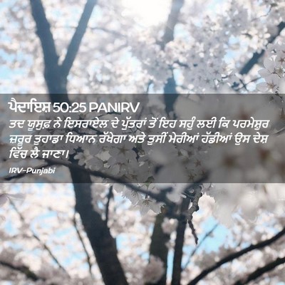 Picture 02 - ਪੈਦਾਇਸ਼ 50:25 PANIRV - ਤਦ ਯੂਸੁਫ਼ ਨੇ - Bible Verse Picture