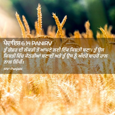 Picture 02 - ਪੈਦਾਇਸ਼ 6:14 PANIRV - ਤੂੰ ਗੋਫ਼ਰ ਦੀ ਲੱਕੜੀ - Bible Verse Picture