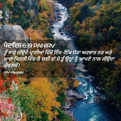 Picture 02 - ਪੈਦਾਇਸ਼ 6:19 PANIRV - ਤੂੰ ਸਾਰੇ ਜੀਉਂਦੇ - Bible Verse Picture